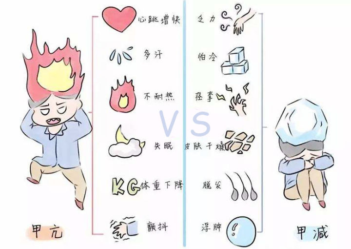 开云登陆入口-开云online(中国)